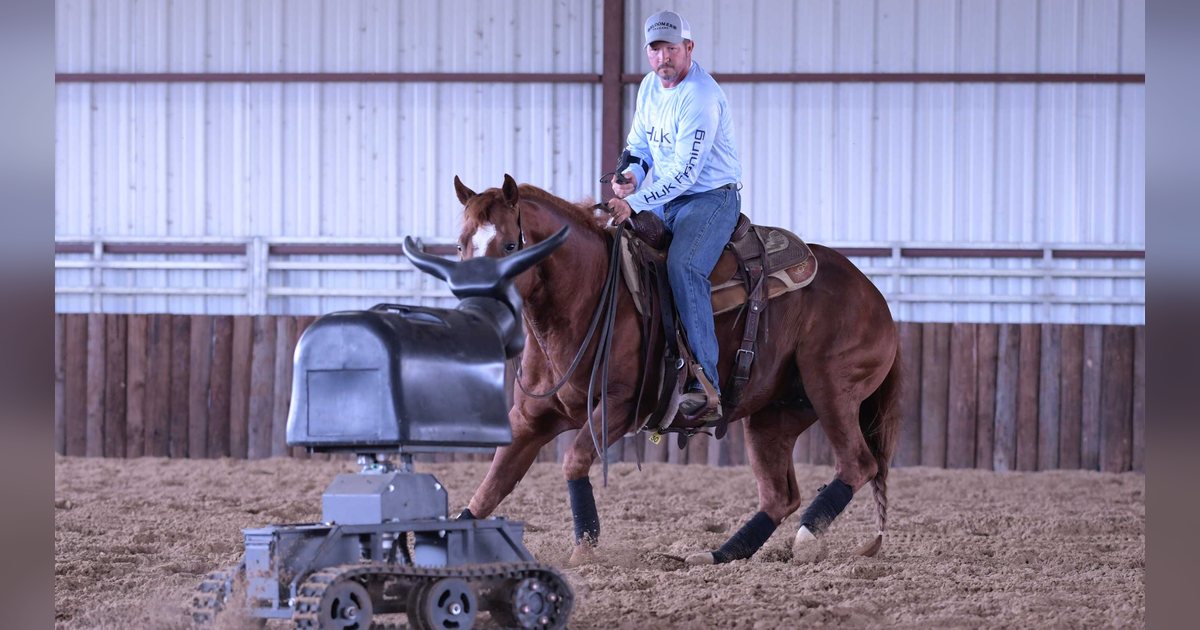 A rider on a sorrel horse working a RealCow mechanical cow in an indoor arena; the cow rides on a tracked base.